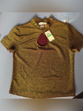 Planet Gold Metallic Gold Short Sleeve Top with Burgundy Lining